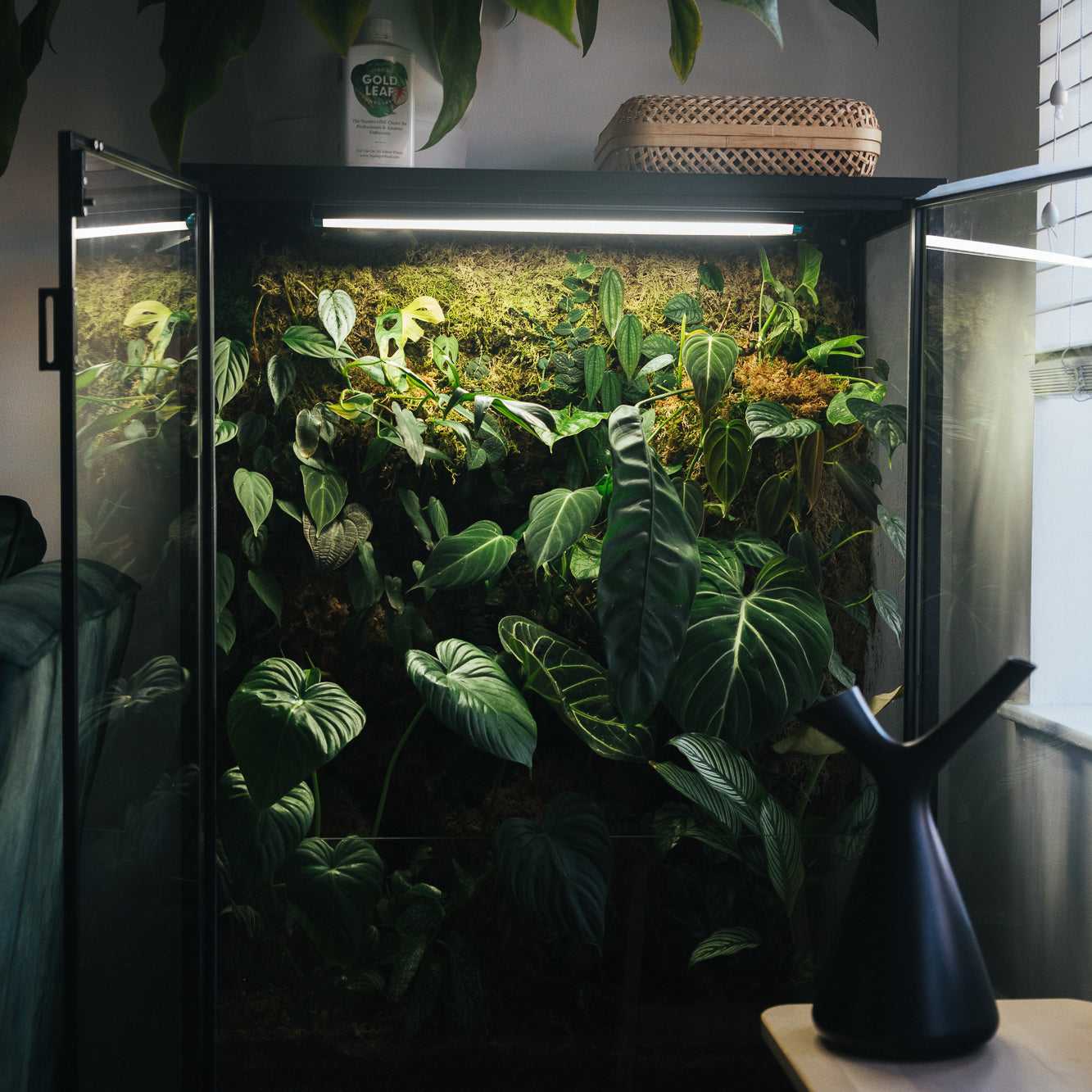 Soil-Ninja-Terrarium-Sphagnum-Moss.jpg