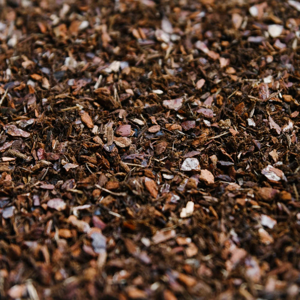 Soil-Ninja-Fine-Bark-Houseplant-Potting-Soil-Component.jpg