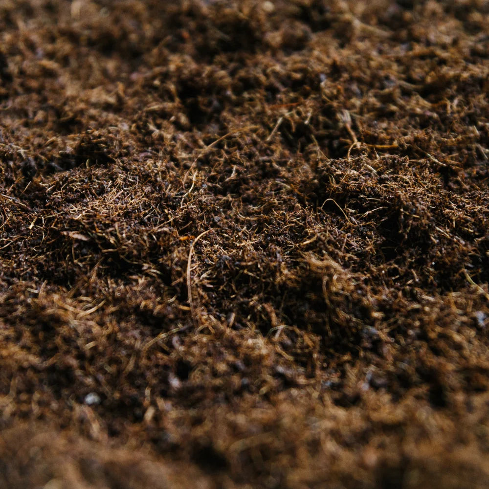 Soil-Ninja-Coco-Coir-Houseplant-Potting-Soil-Component.jpg