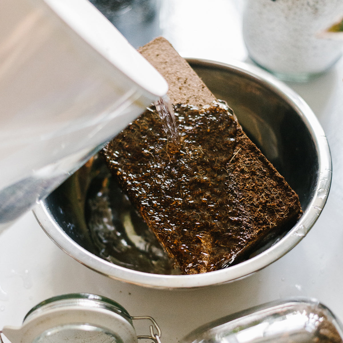 Soil-Ninja-Dehydrated-Coco-Block-Watering.jpg