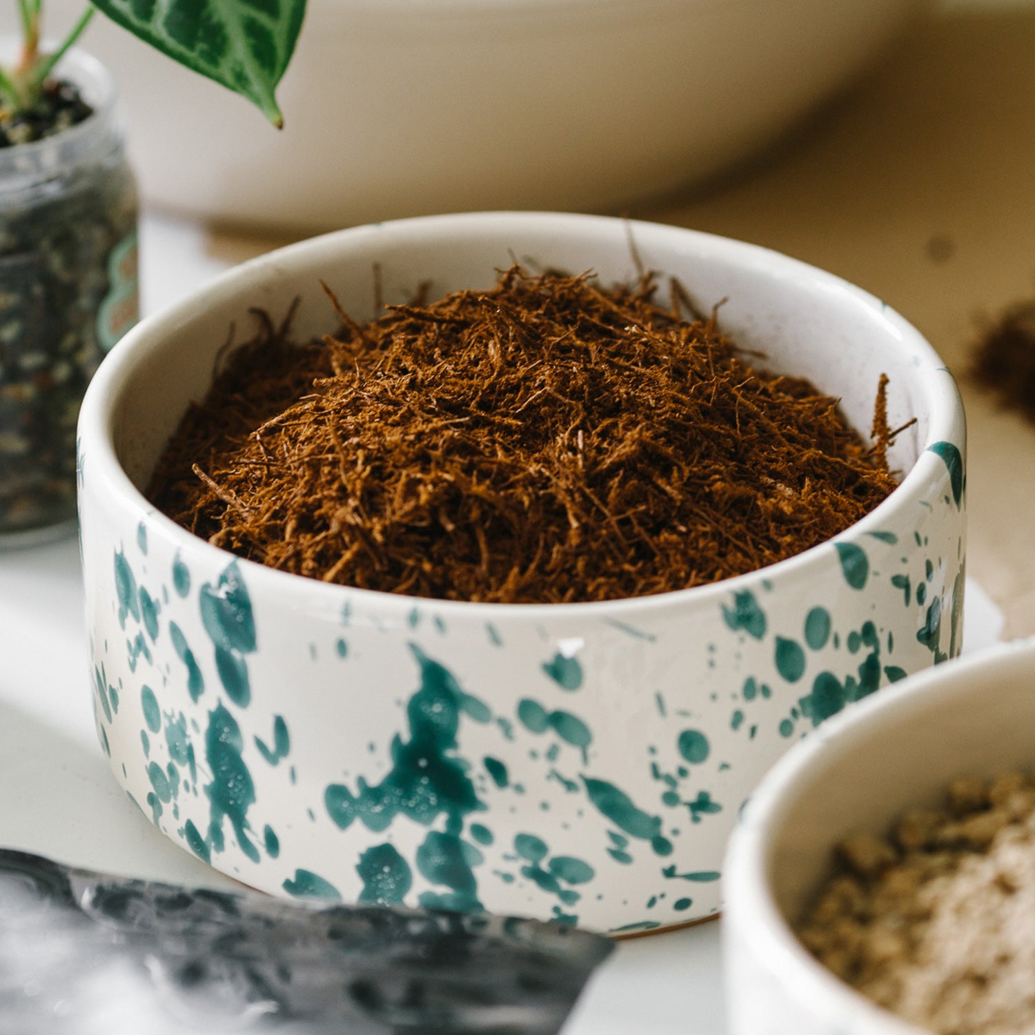 Soil-Ninja-Tree-Fern-Fibre-Bowl.jpg