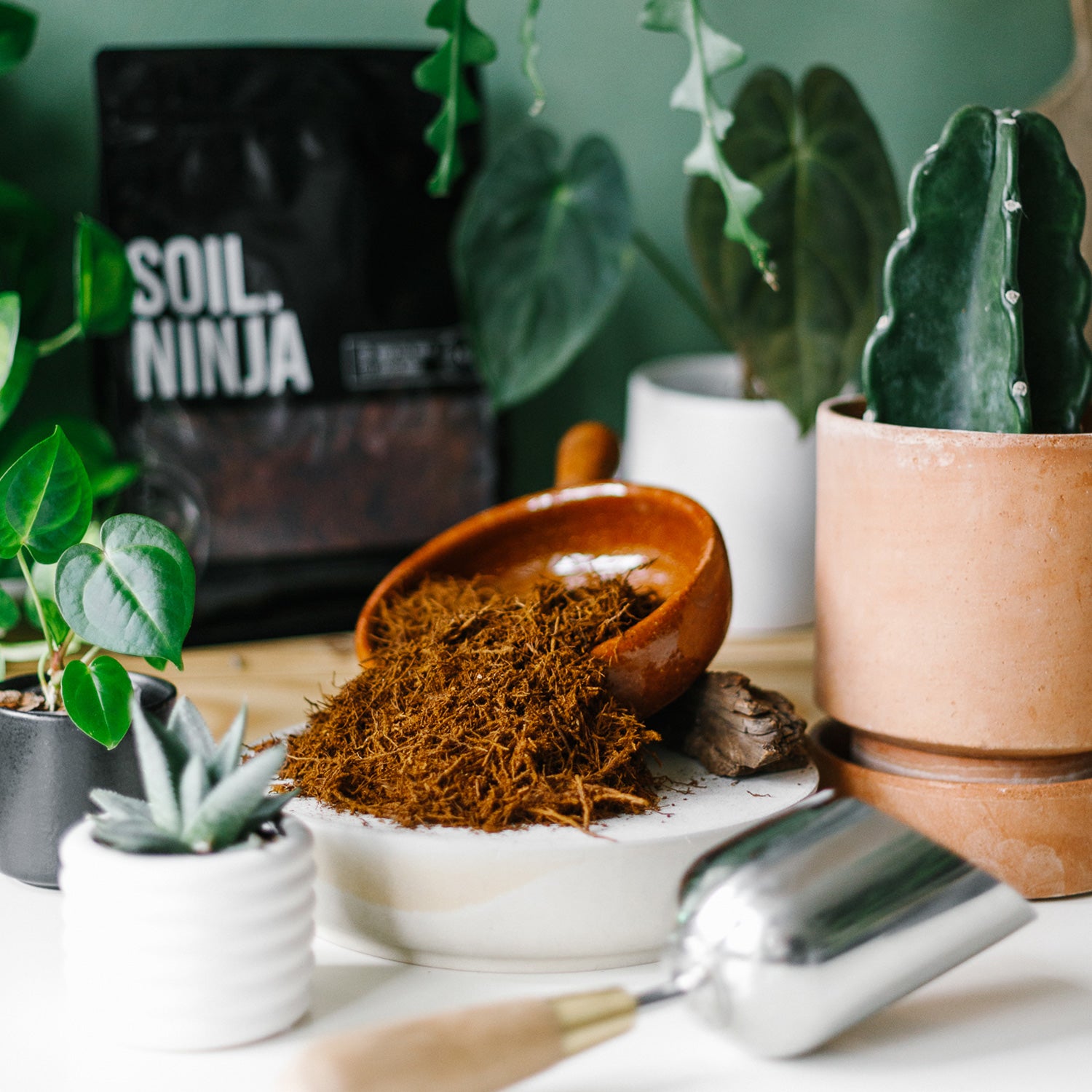 Soil-Ninja-Tree-Fern-Fibre-Specialist-Potting-Component.jpg