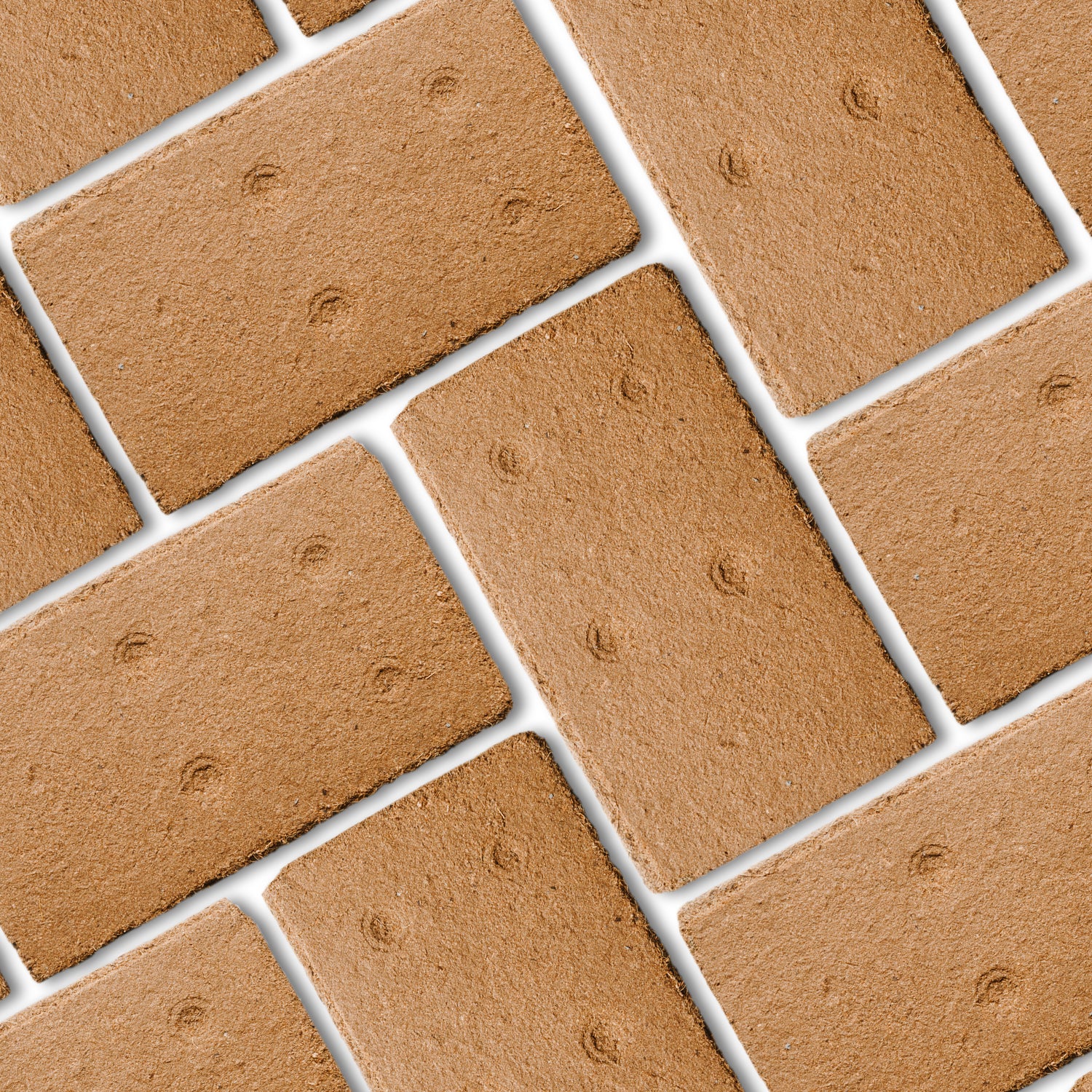 Coco-Blocks.jpg