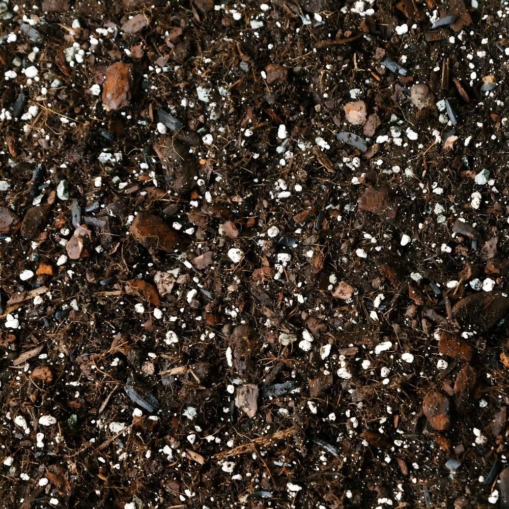 Soil-Ninja-Monstera-Philodendron-Peat-Free-Houseplant-Soil-Blend(1).jpg