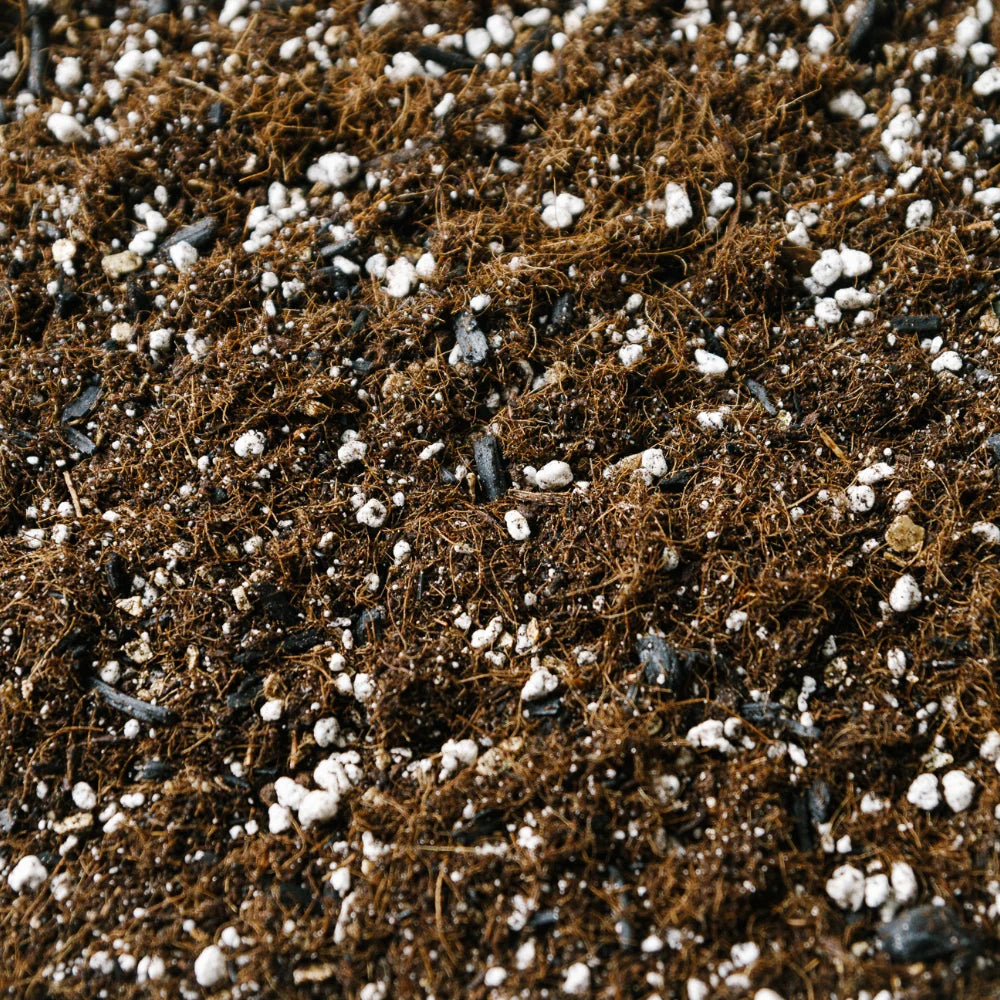Soil-Ninja-Calathea-Peat-Free-Houseplant-Soil-Blend.jpg