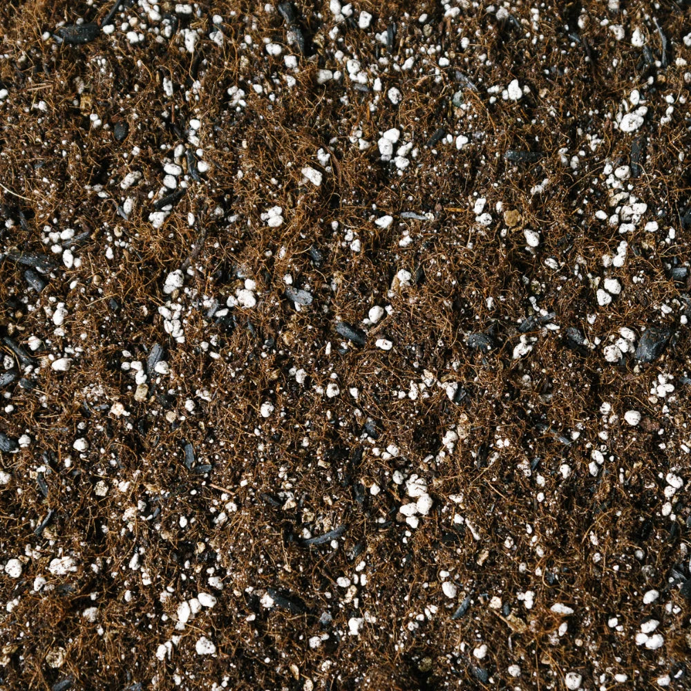 Soil-Ninja-Calathea-Premium-Peat-Free-Soil-Blend.jpg