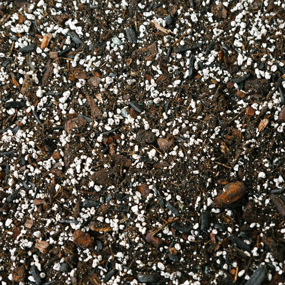 Soil-Ninja-Anthurium-Premium-Peat-Free-Soil-Blend.jpg