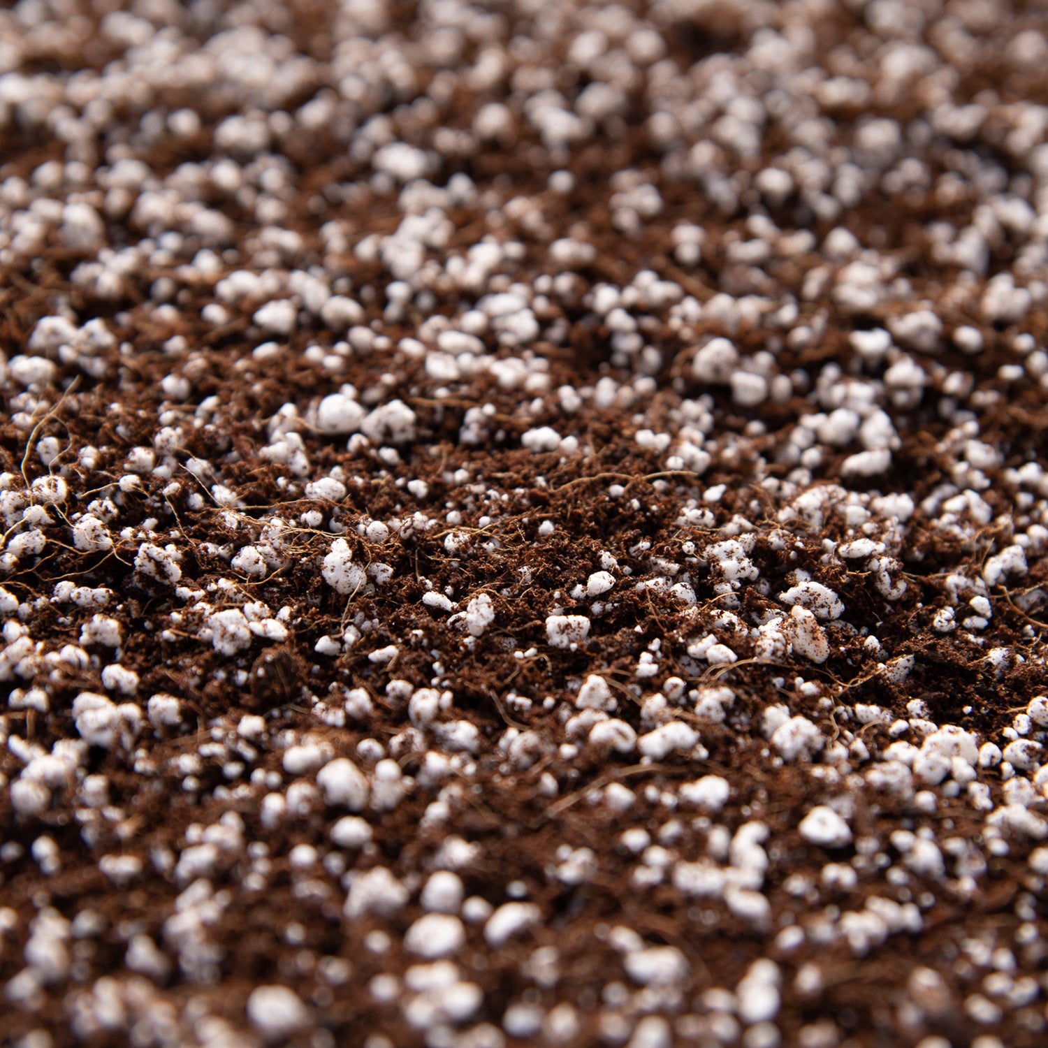Soil-Ninja-Base-Close-Up.jpg
