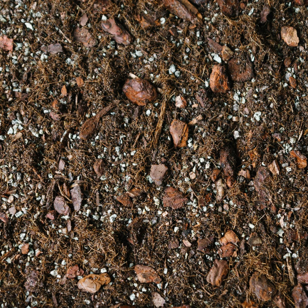 Soil-Ninja-Syngonium-Premium-Peat-Free-Soil-Blend.jpg