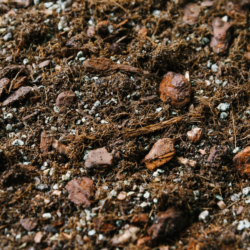 Soil-Ninja-Syngonium-Peat-Free-Houseplant-Soil-Blend.jpg