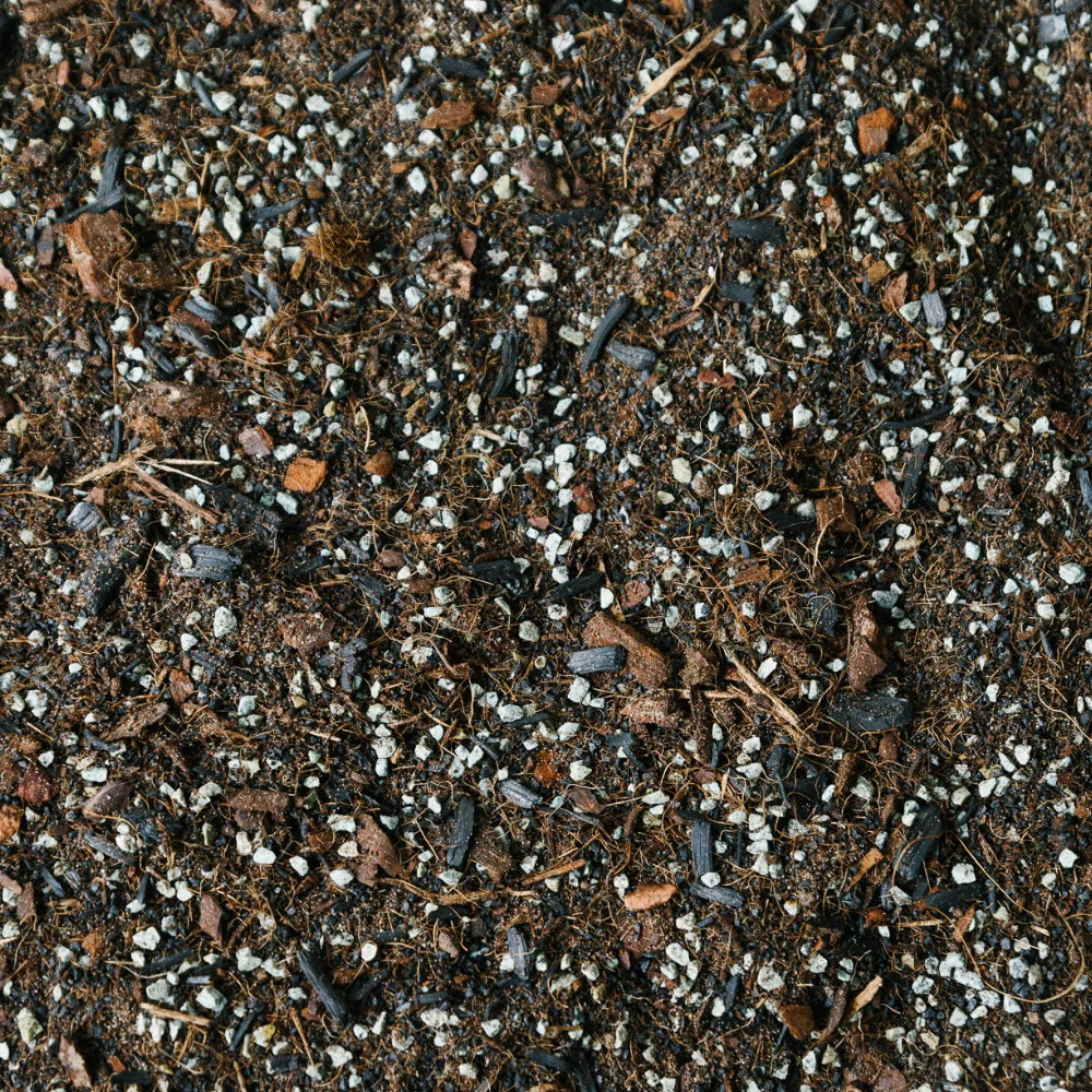 Soil-Ninja-Terrarium-Premium-Peat-Free-Soil-Blend.jpg