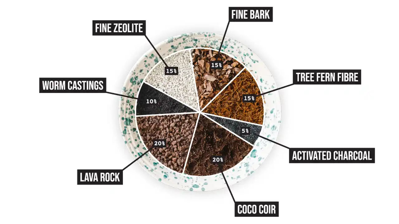 Soil-Ninja-Aroid-Mix-Components.jpg