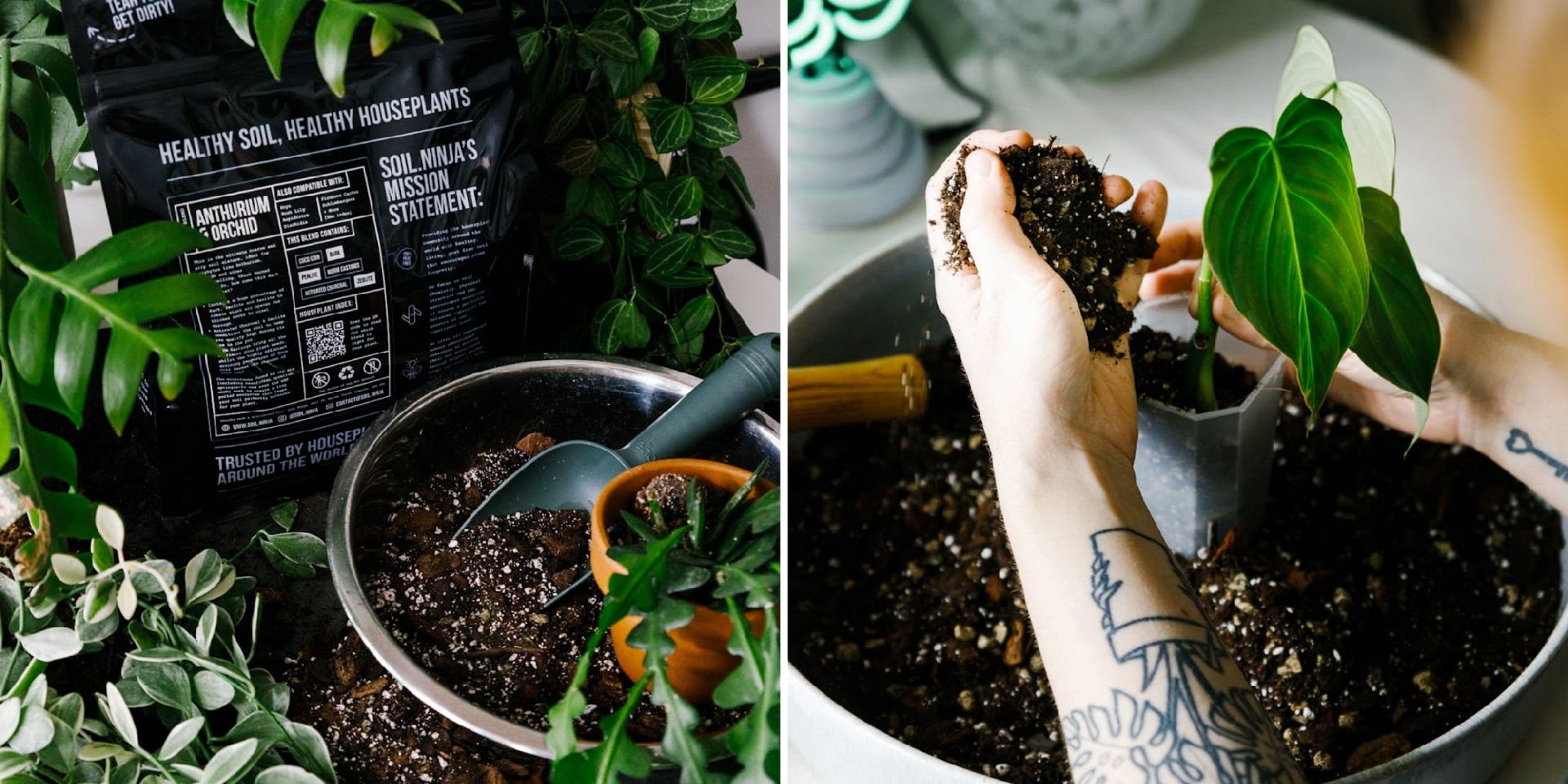 Soil-Ninja-When-To-Repot-Your-Plants.jpg