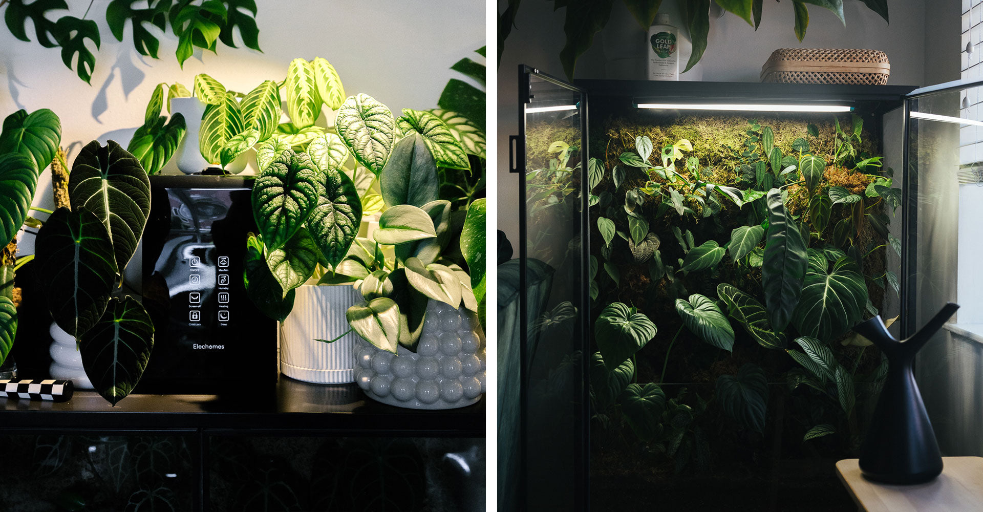 Controlling-Humidity-In-Your-Home-Environment.jpg
