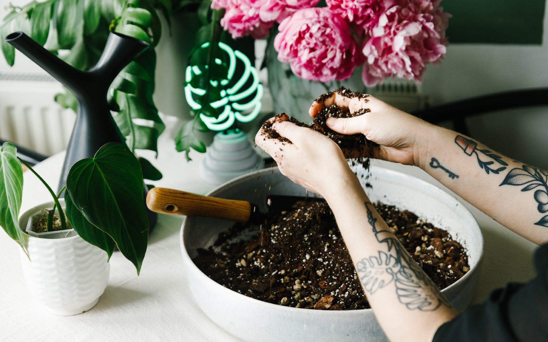 Soil-Ninja-Dirty-Benefits-Repotting-Mindfulness.jpg