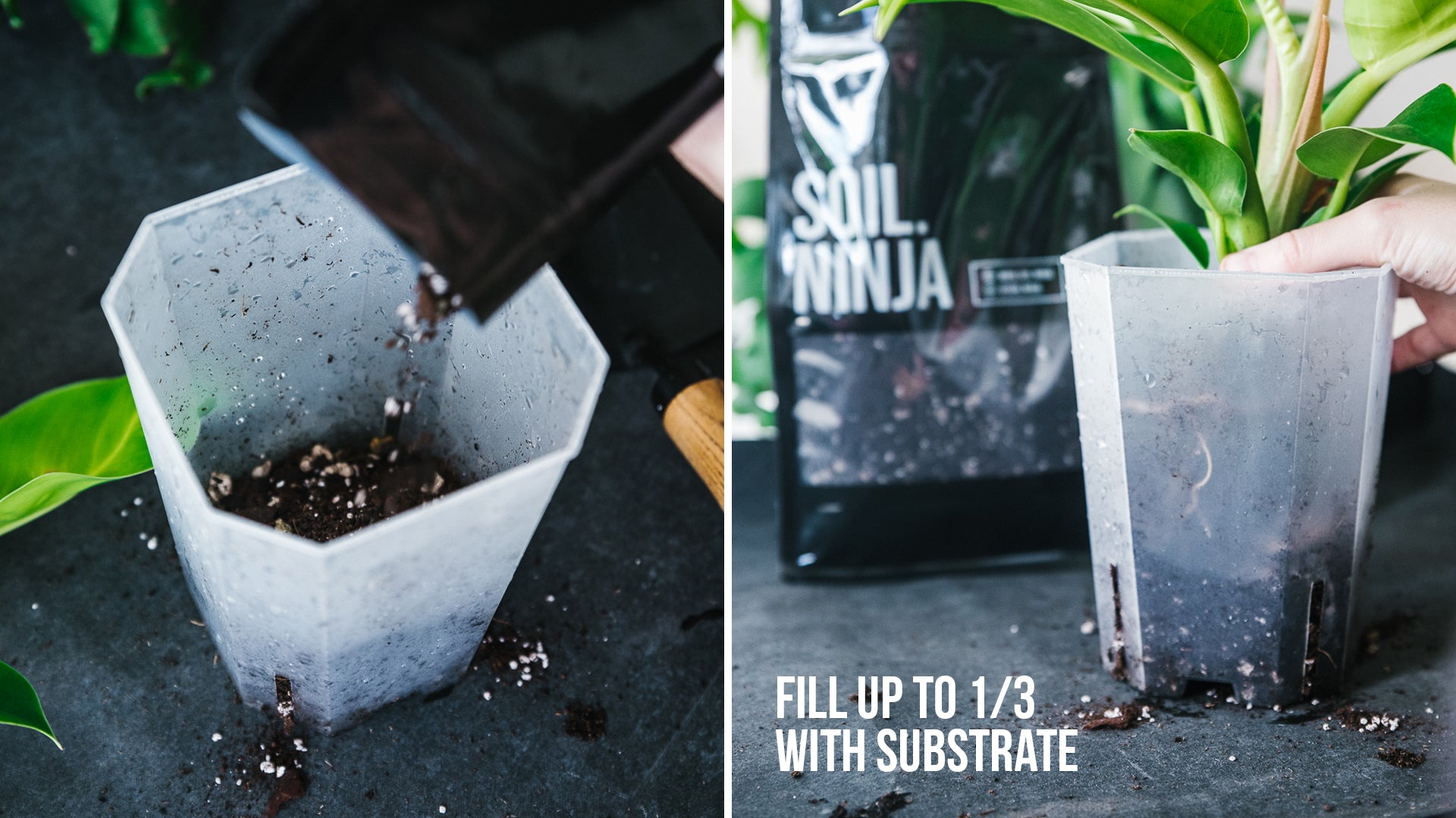 Soil-Ninja-How-To-Repot-Your-Plant-005.jpg