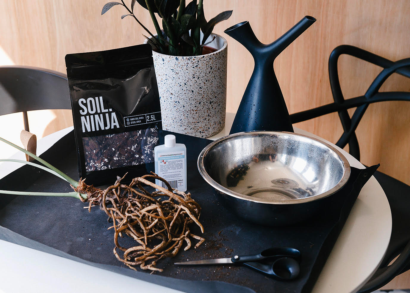 Soil-Ninja-Root-Rot-Blog-004.png