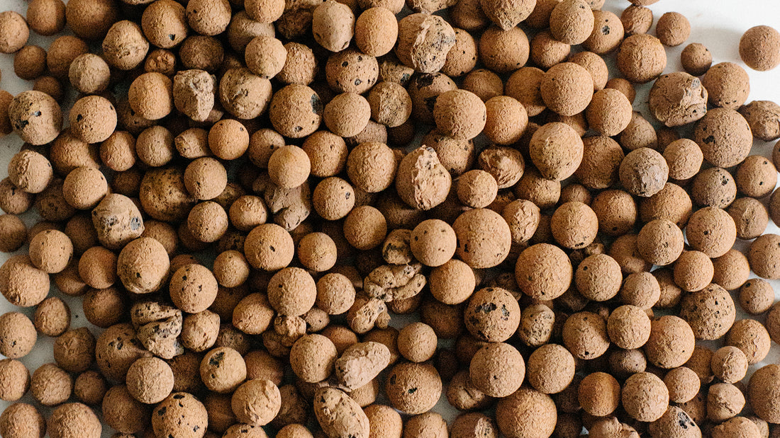 soil-ninja-leca-clay-pebbles.jpg