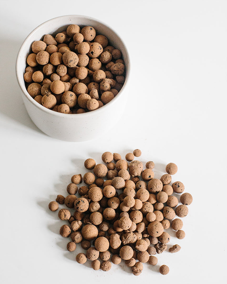 Soil-Ninja-Clay-Pebbles-Leca-Sample.jpg