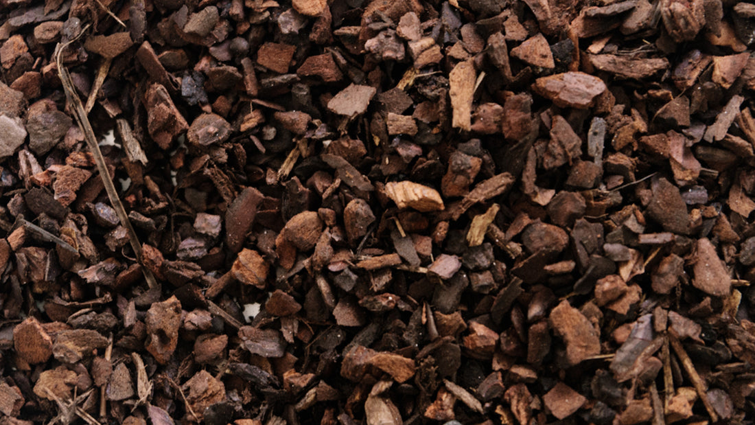 soil-ninja-bark.jpg