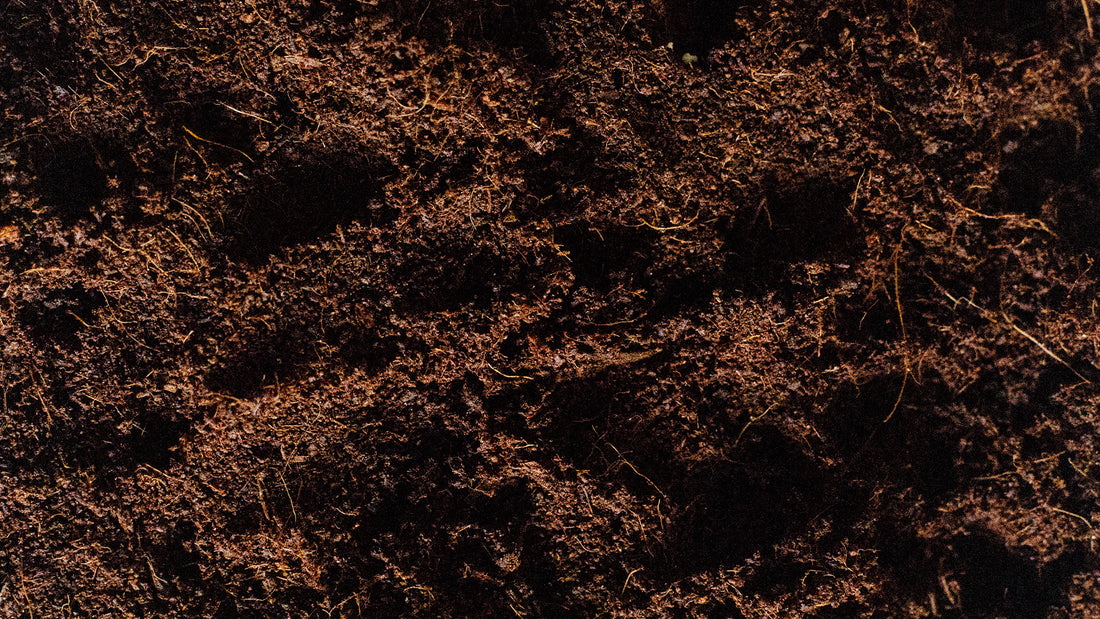 soil-ninja-coc-coir.jpg