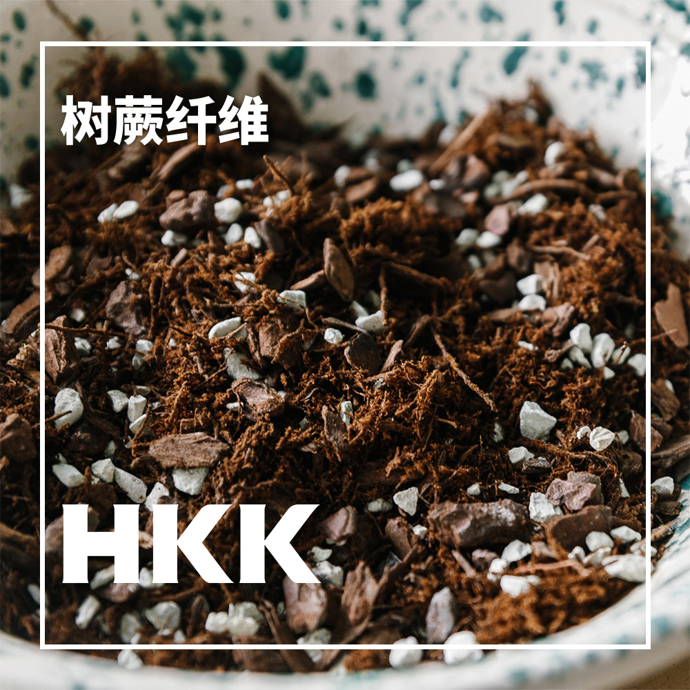 树蕨纤维.jpg