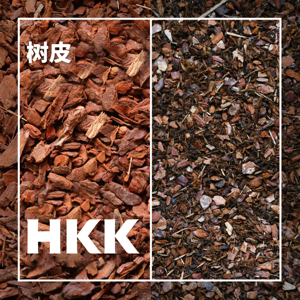 树皮.jpg
